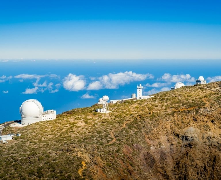 La palma con niños