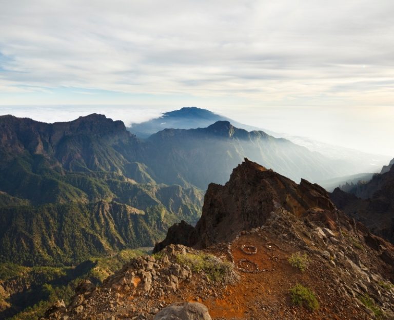 La palma con niños
