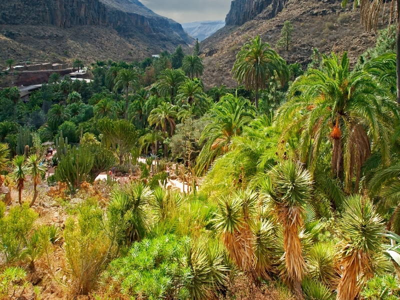 palmitos park Gran Canaria