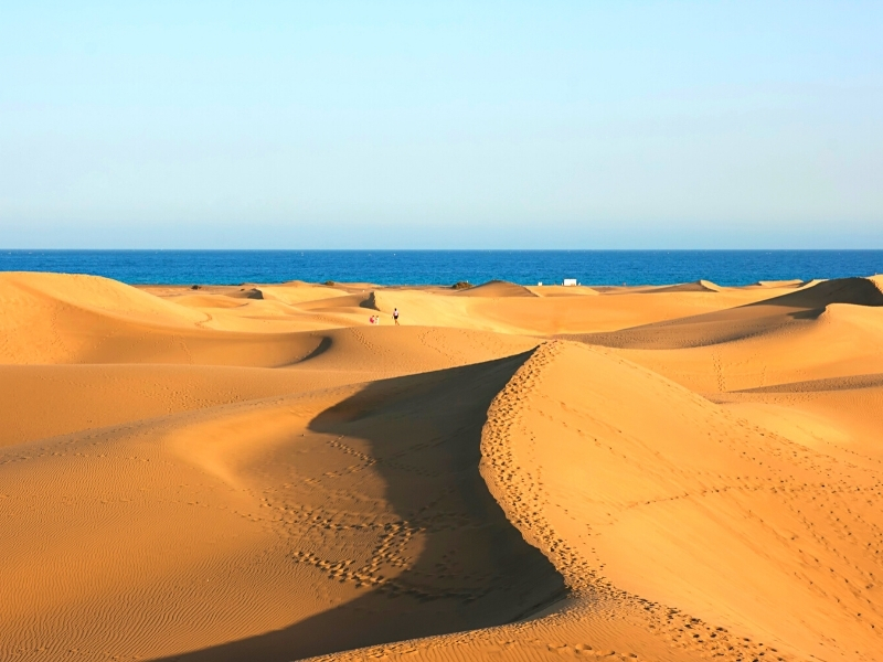 Dunas de Maspalomas con niños